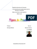 Tipos de pruebas