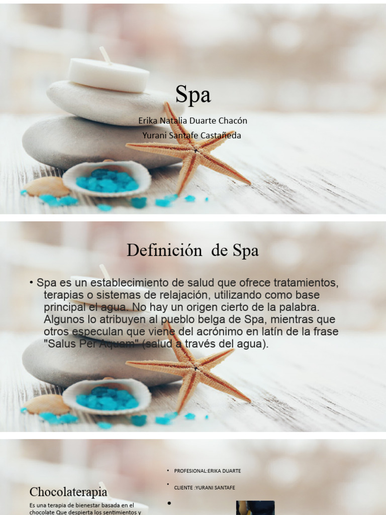 Tratamientos y Terapias de Spa | PDF | Piel | Masaje