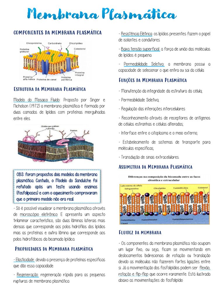 Estrutura e Funções da Membrana Plasmática | PDF | Membrana celular ...
