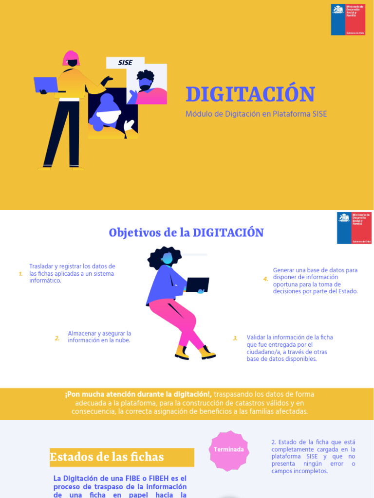 Digitación en Plataforma SISE | PDF | Información