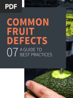 Avocado Ripeness Stages Guide | PDF | Avocado | Edible Fruits