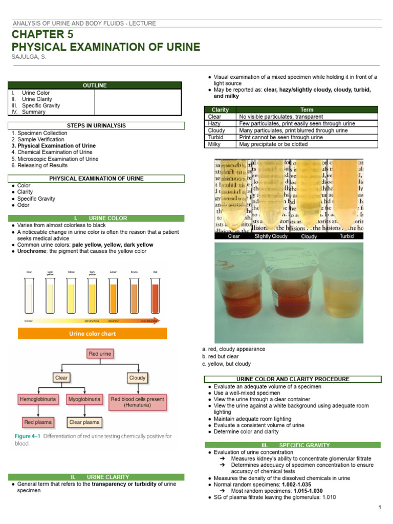 Chapter 7 | PDF | Ph | Urine