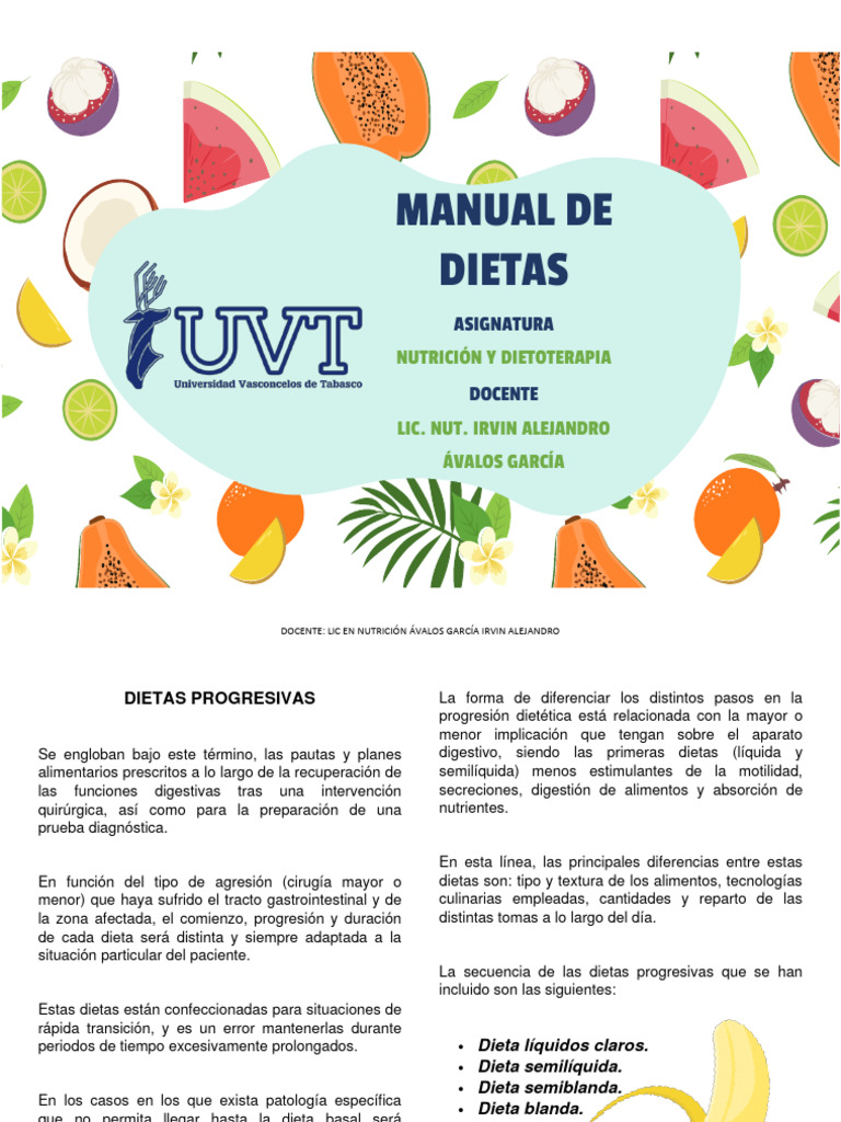 Tipos De Dieta Pdf Dieta Alimentos