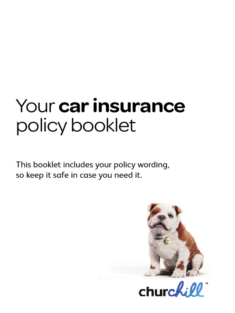 DriveSure Car Insurance Policy Guide | PDF | Vehicle Insurance | Insurance