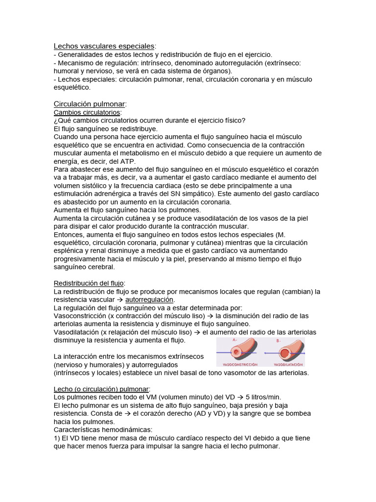 Lechos Vasculares Especiales | PDF | Riñón | Corazón