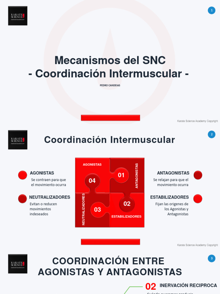 L5 - Coordinación Intermuscular - WM | PDF | Kárate