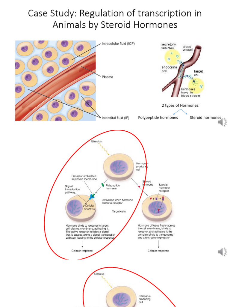 Chapter 18 Regulation of Gene Expression in Eukaryotes Case Study | PDF ...