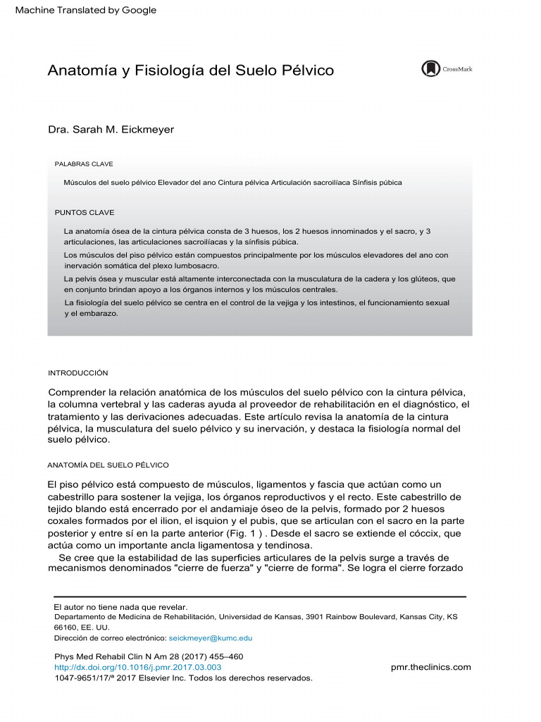 Anatomía Suelo Pelvico | PDF | Pelvis | Anatomía