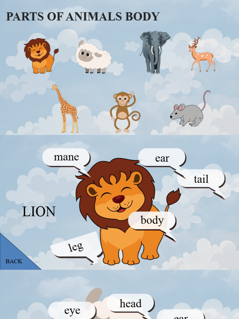 Animal Body Parts for Kids | PDF