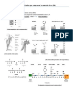 BIOMOLECULAS ESENCIALES