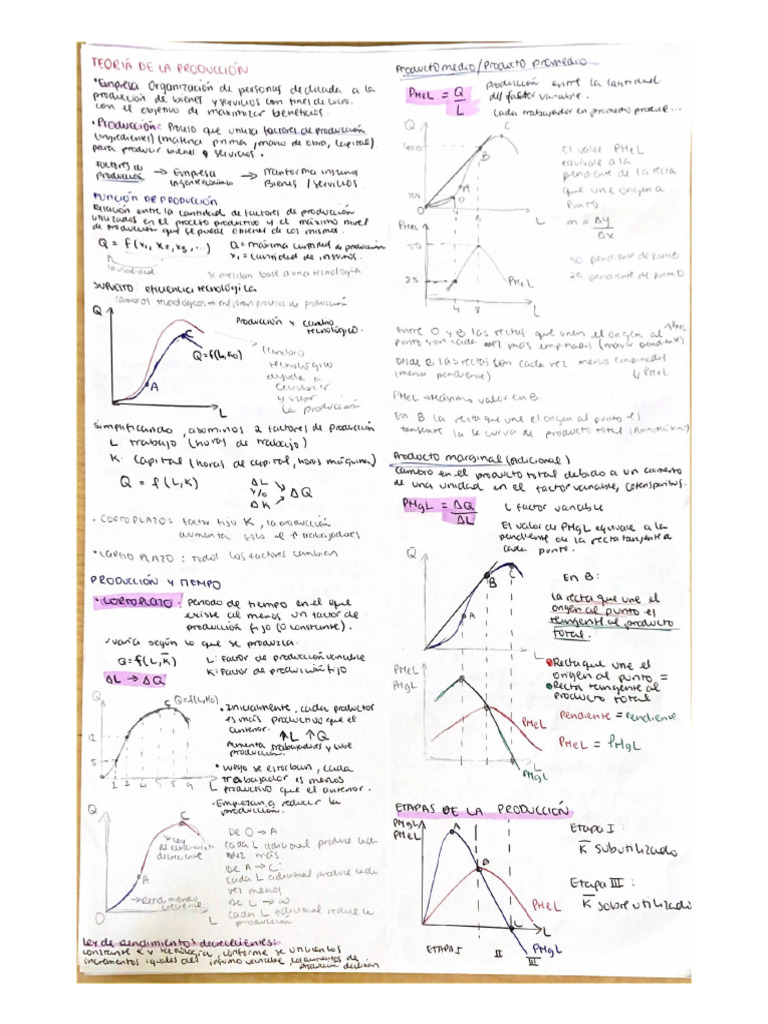 TEORIA DE PRODUCCION Y COSTOS PDF