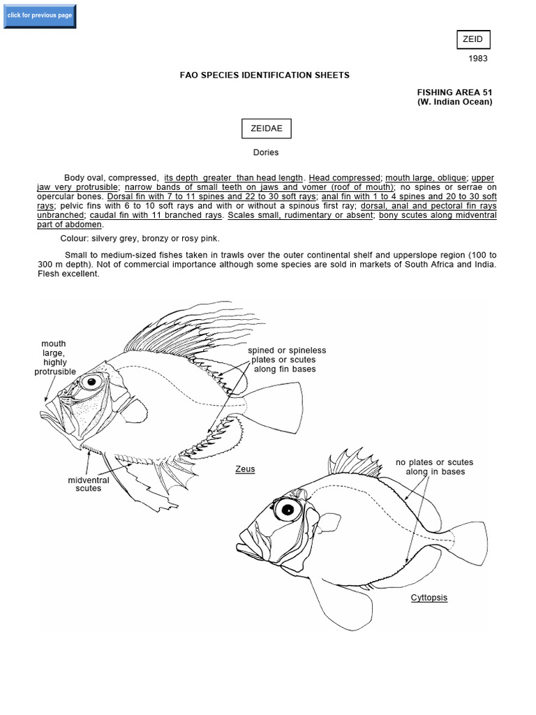 Fao Species Identification Sheets Fishing Area 51 (W. Indian Ocean ...