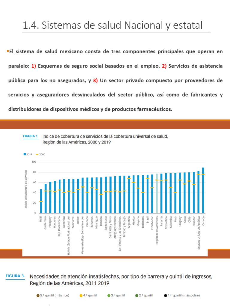 Estructura y Desafíos del Sistema de Salud en México | PDF | Cuidado de ...