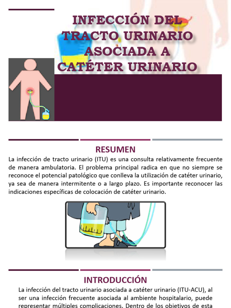 infecci-n-del-tracto-urinario-asociada-a-cat-ter-urinario-pdf