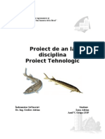 Proiect tehnologic Pastruga