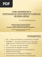Como Incrementar a Atratividade de Investimentos Florestais em Minas Gerais