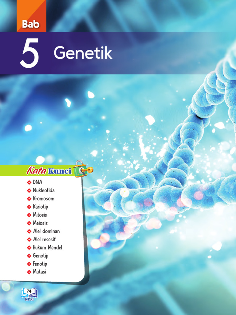 Bab 5 BT Sains T4 | PDF