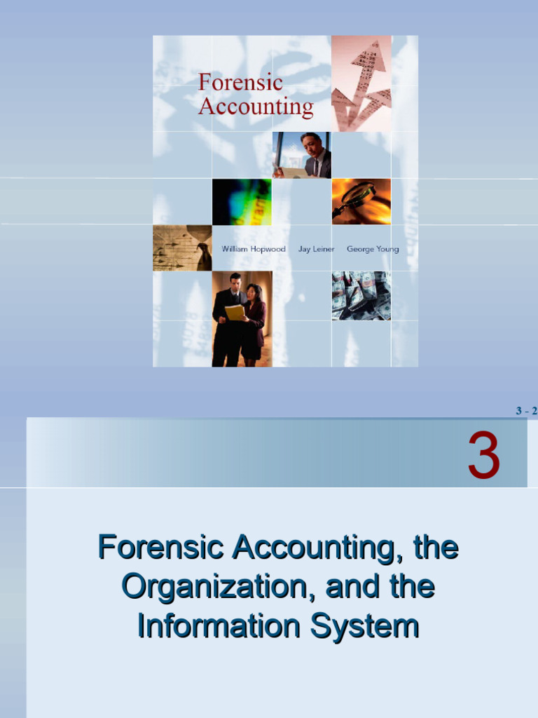 Chapter 3 | PDF | Internal Control | Business