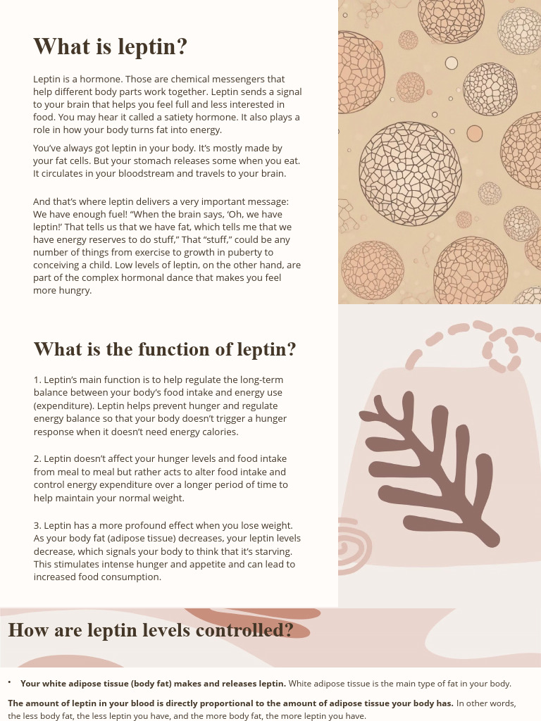 Leptin Resistance | PDF | Leptin | Adipose Tissue