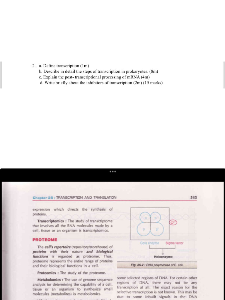TRANSCRIPTION PROCESS IN QUALITATIVE DATA ANALYSIS PDF visual data 6