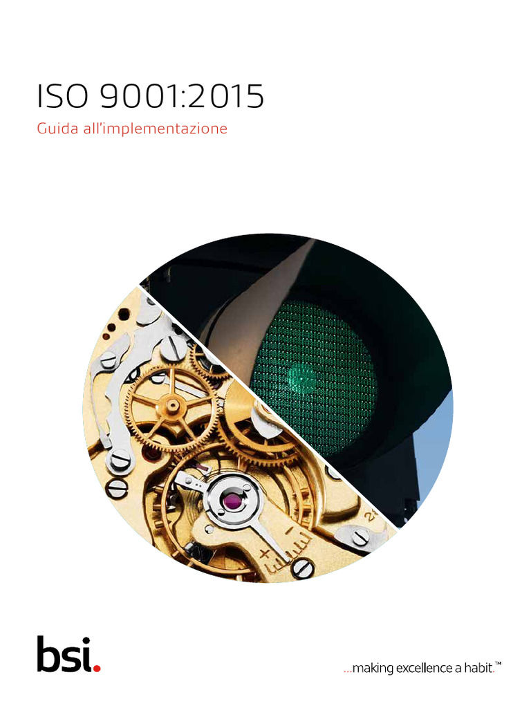 BSI ISO 9001 Implementation Guide Web IT | PDF