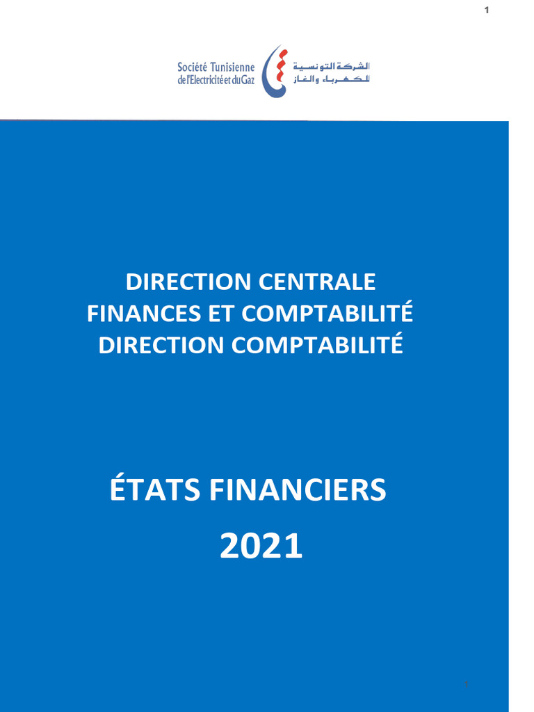 États financiers 2021 de la STEG | PDF | Comptabilité | Immobilisations
