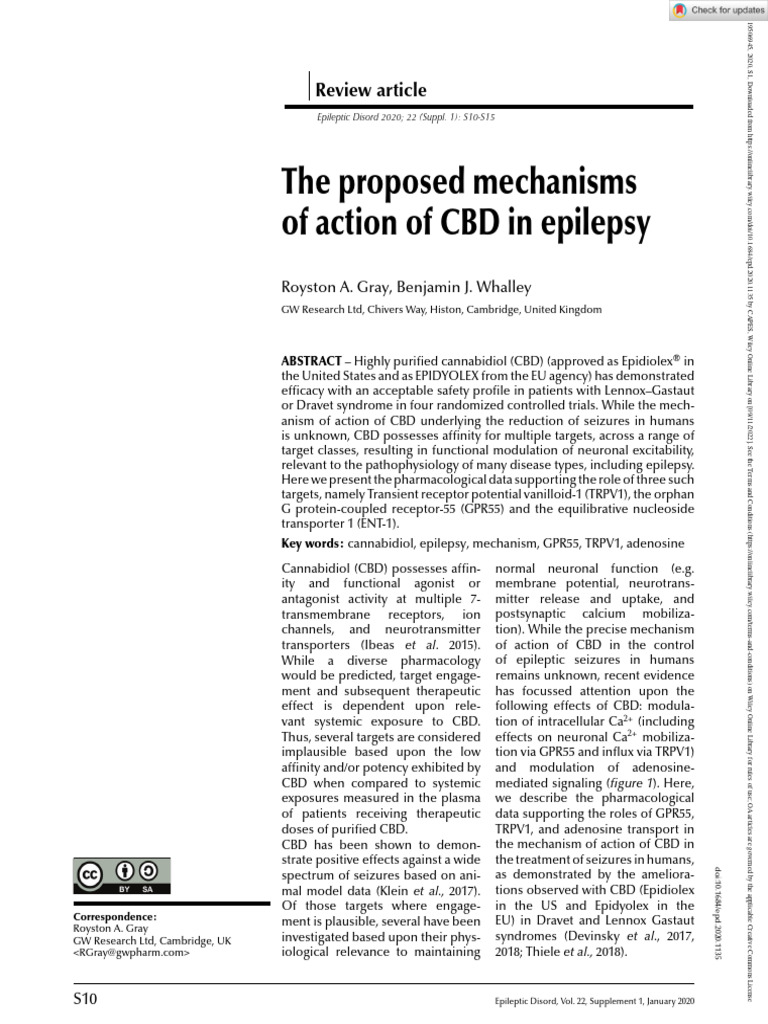 Epileptic Disorders - 2020 - Gray - The Proposed Mechanisms of Action ...