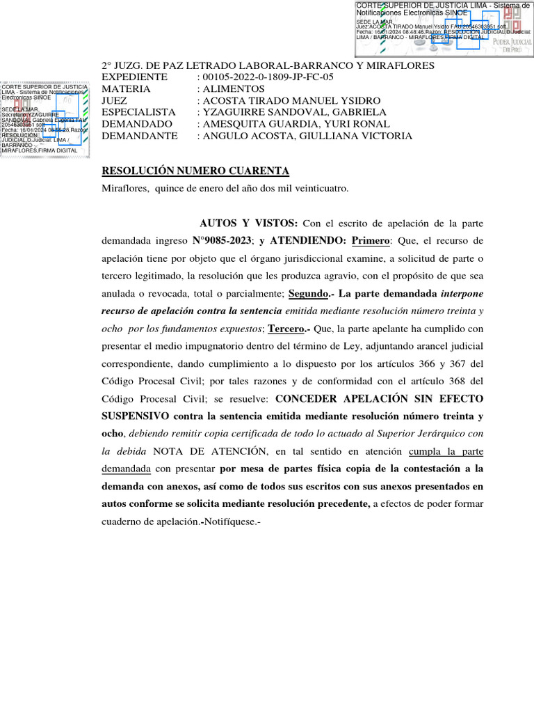 Exp. 00105-2022-0-1809-JP-FC-05 - Resolución - 01785-2024 | PDF