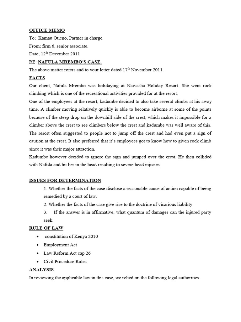 LEGAL OPINION LEGAL MEMO intelligence overview