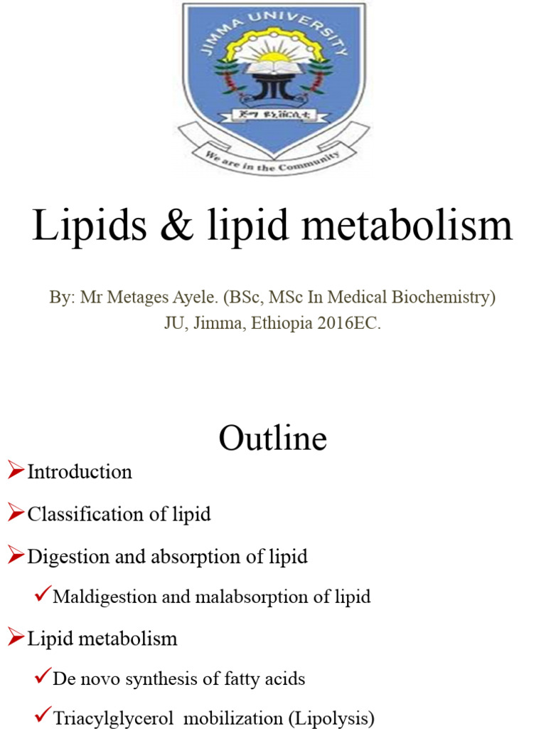 Lipid Metabolism and Classification Guide | PDF | Triglyceride | Lipid