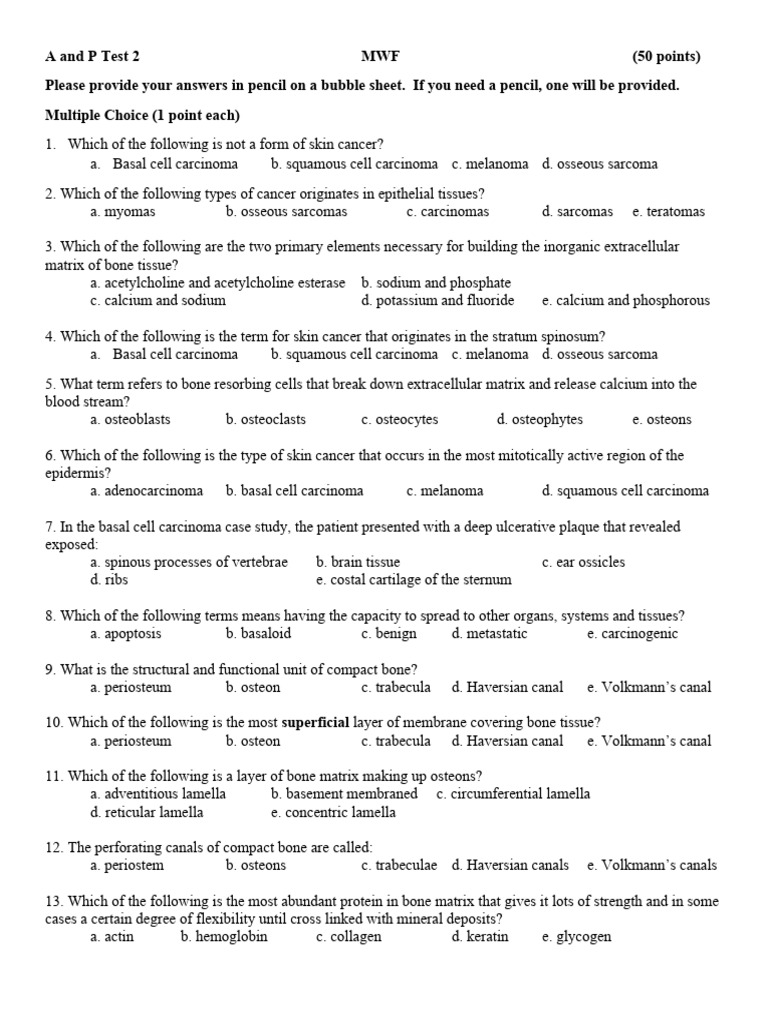 A and P Test 2 MWF Final | PDF | Bone | Osteoblast
