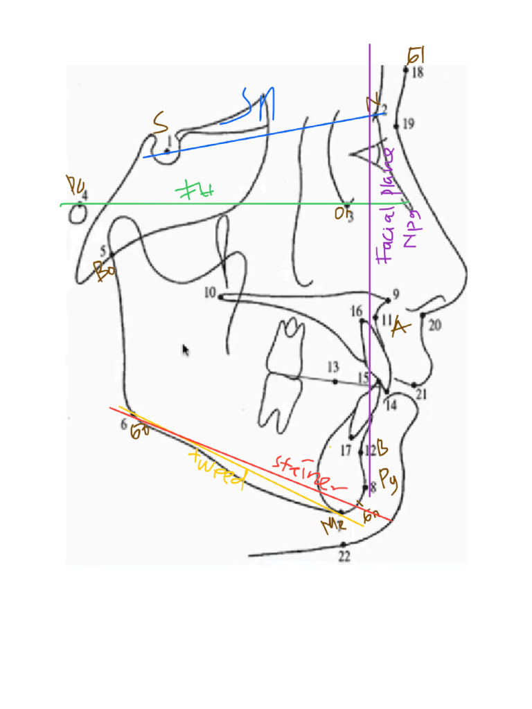 Sepalo | PDF