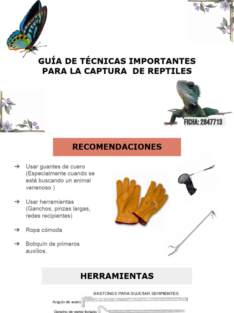 Fauna - Guía de Técnicas Importantes para La Captura de Reptiles