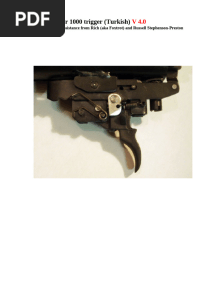 RSE - Daisy 1000 Trigger Guide