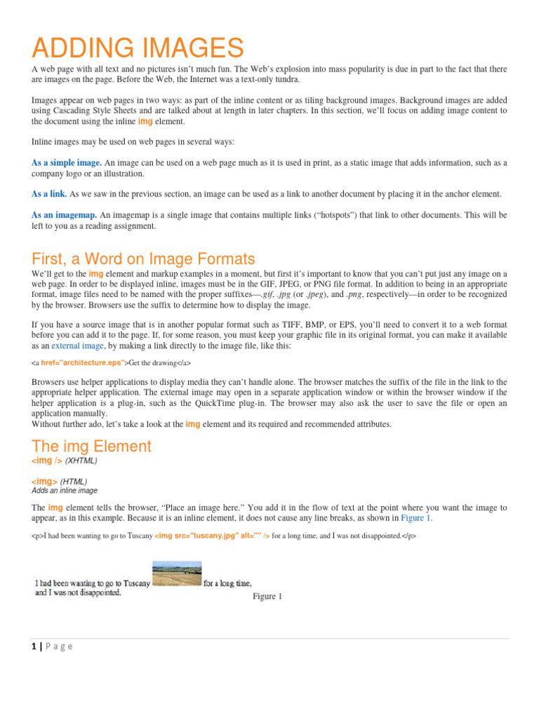 Web Site Handout 6 | PDF | Html Element | World Wide Web