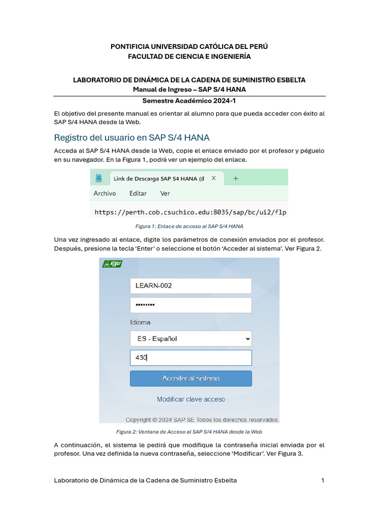 Manual de Ingreso SAP S4 HANA 2024-1 | PDF | Contraseña | Red mundial 