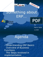 Something About Erp : by Rahul Apte 11304