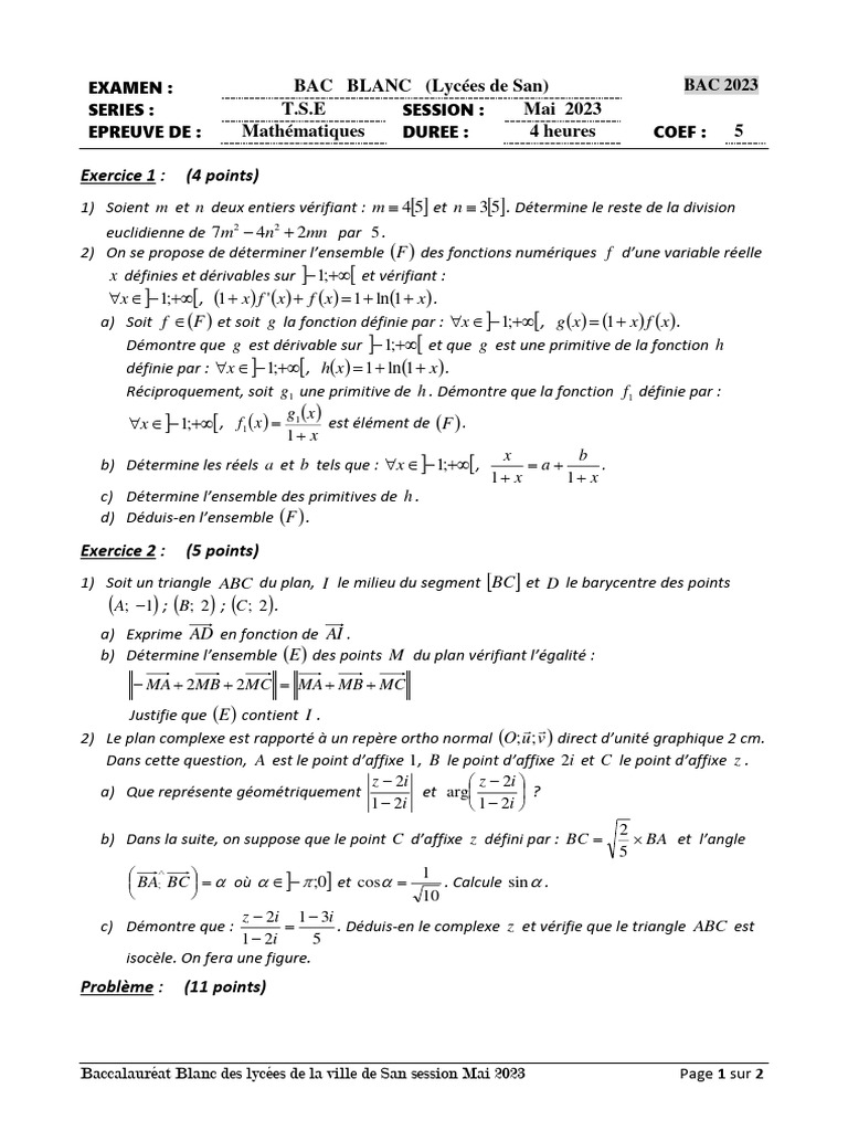 Bac Blanc Maths San Mai 2023 | PDF | Fonction (Mathématiques) | Analyse ...