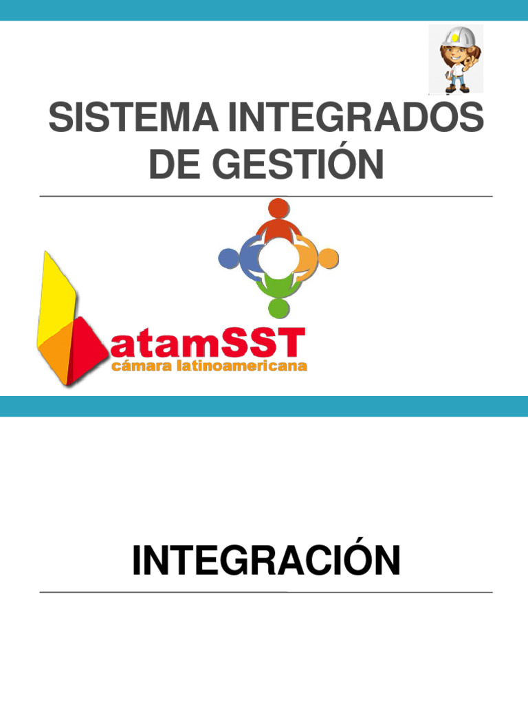 Sistemas Integrados de Gestión: Guía Completa | PDF | Business