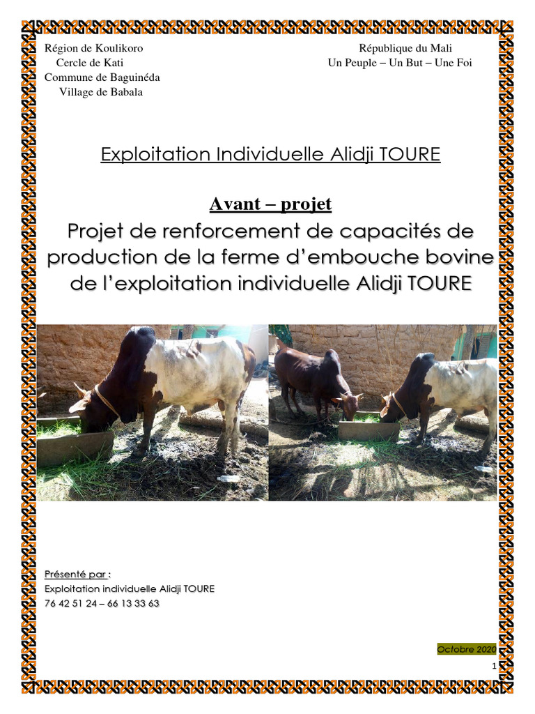 Projet d'embouche bovine au Mali | PDF | Prêts | Bovins domestiques