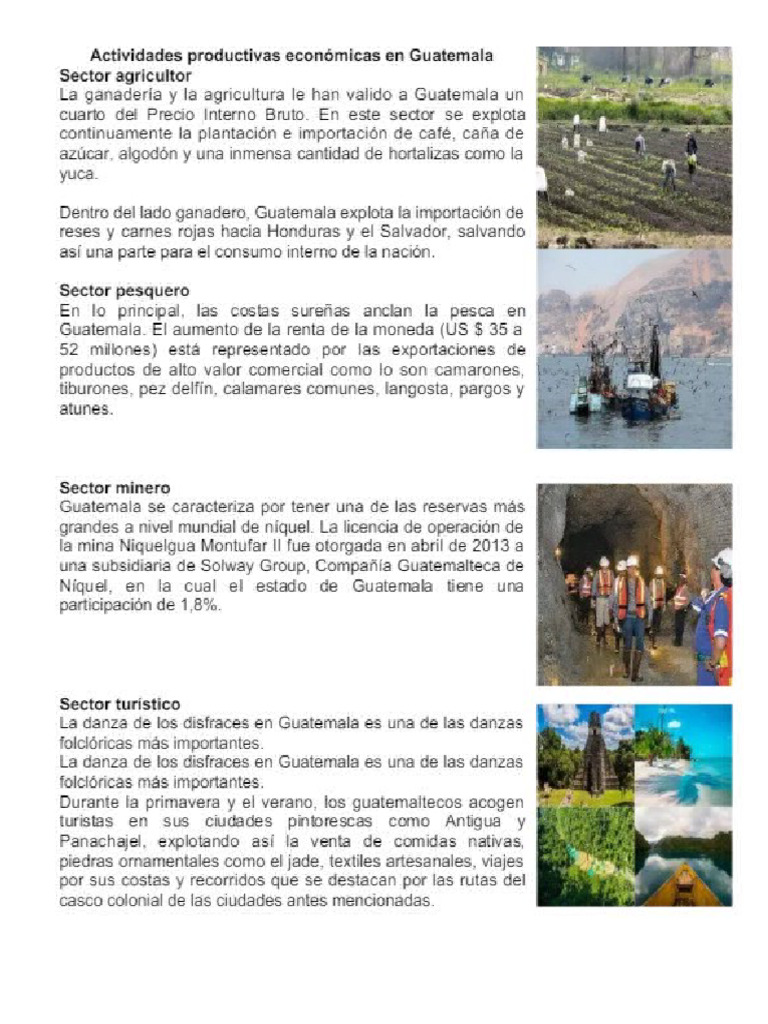 actividades economicas de guatemala | PDF