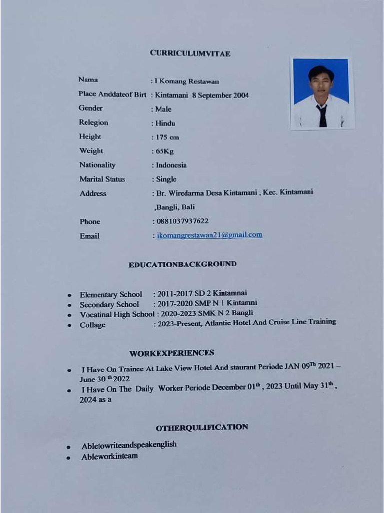 Cv pdf