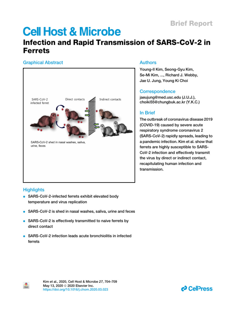 Infection and Rapid Transmission of SARS-CoV-2 in Ferrets | PDF | Virus ...