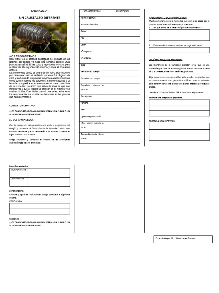 chanchito-de-la-humedad-pdf-plantas