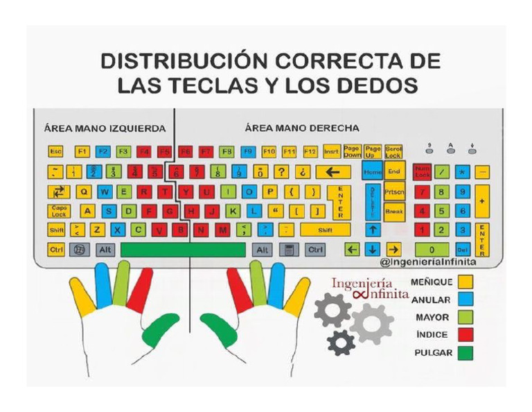 Mecanografia... Distribucion Correcta de Las Teclas y Los Dedos | PDF