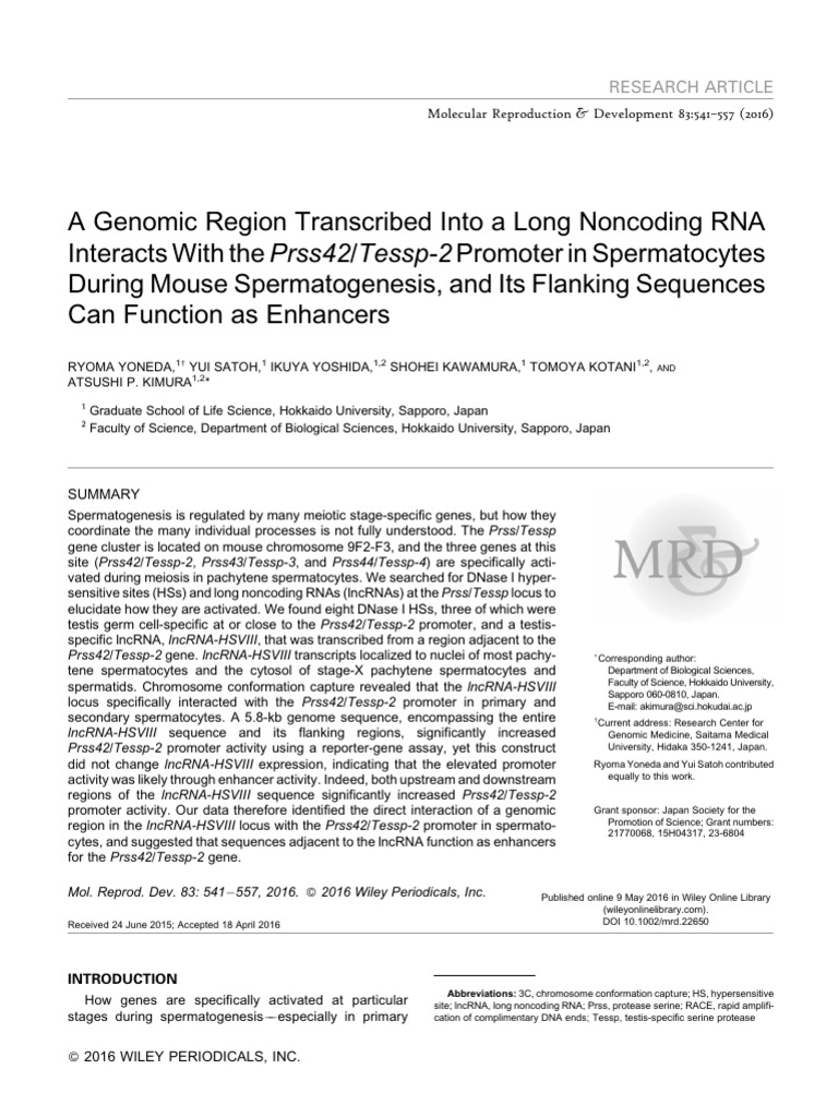 A Genomic Region Transcribed Into A Long Noncoding RNA Interacts With ...