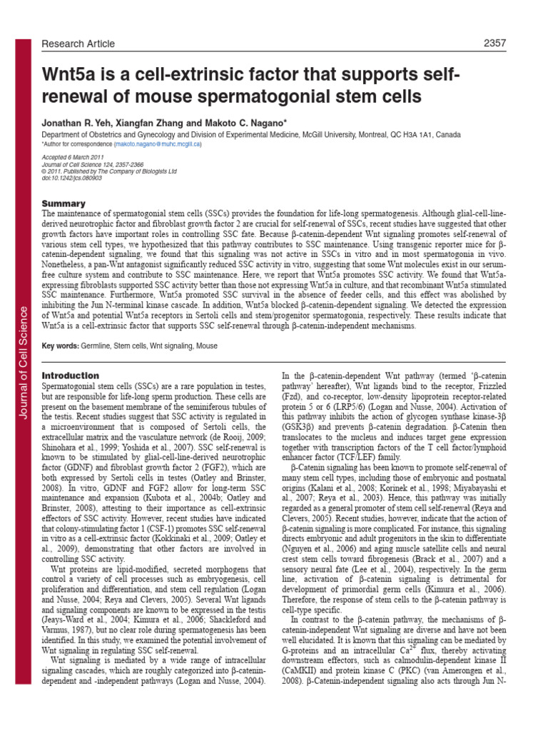 Wnt5a Is A Cell Extrinsic Factor That Supports Self Renewal of Mouse ...