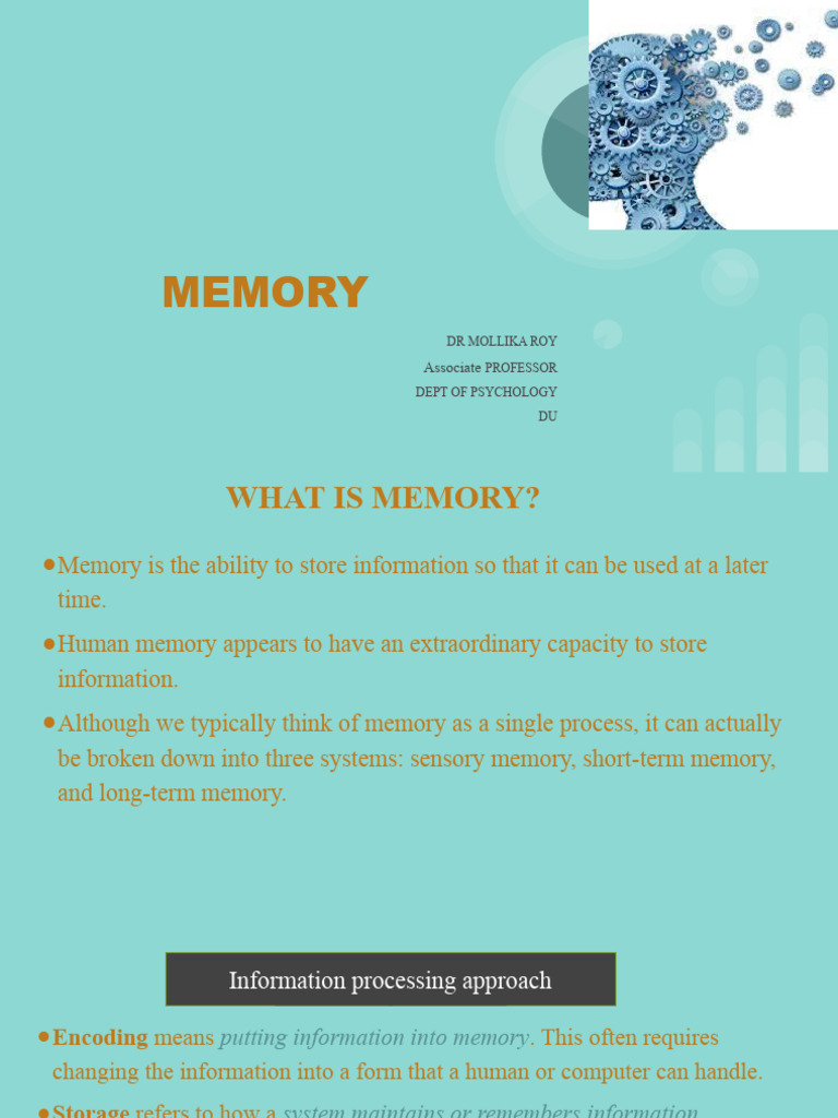 Memory - Updated 2024 | PDF | Memory | Long Term Memory