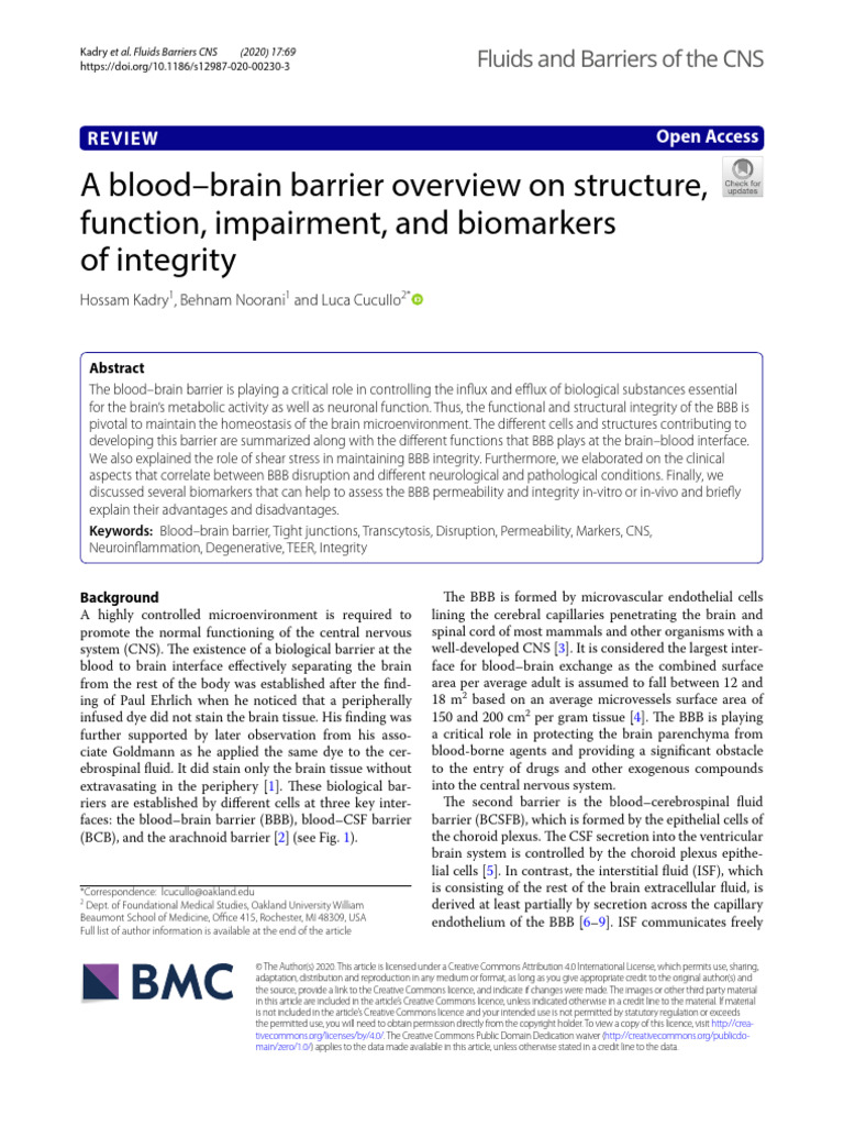 A Blood Brain Barrier Overview On Struct | PDF | Cell Membrane | Biology