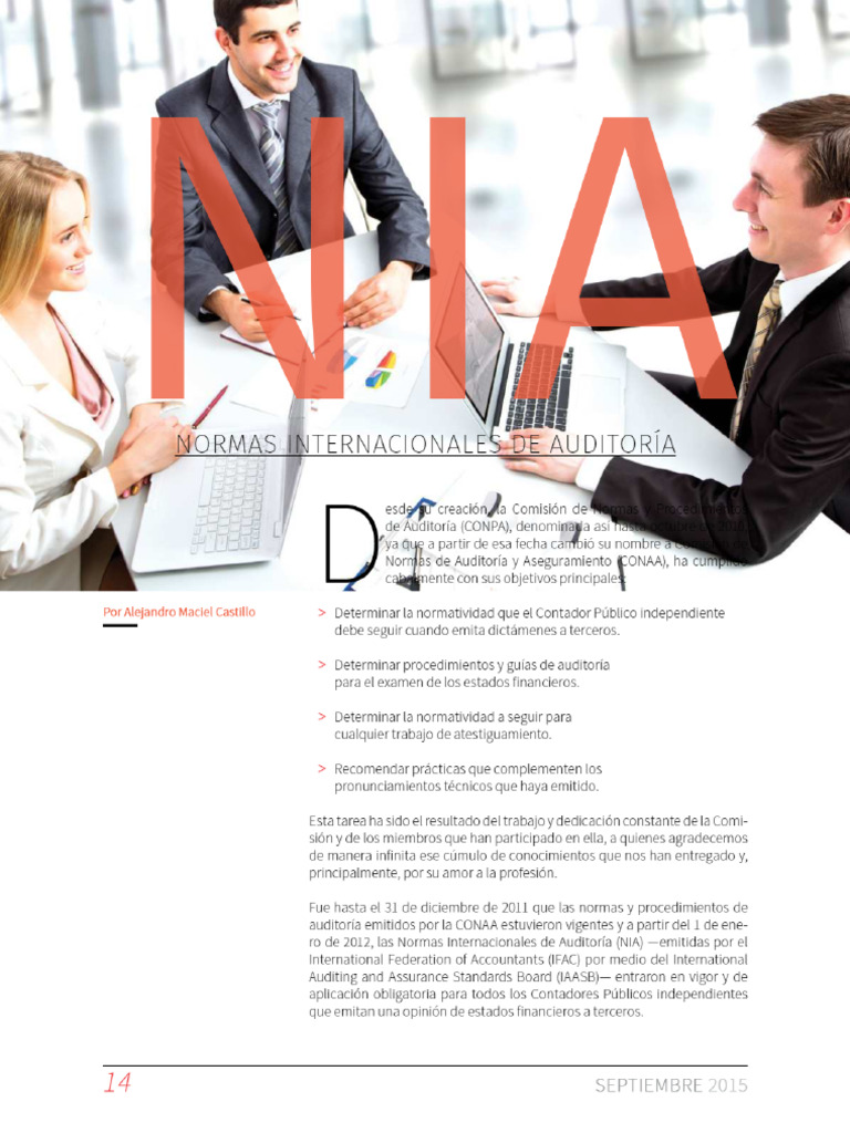 NIA Normas Internacionales de Auditoría | PDF